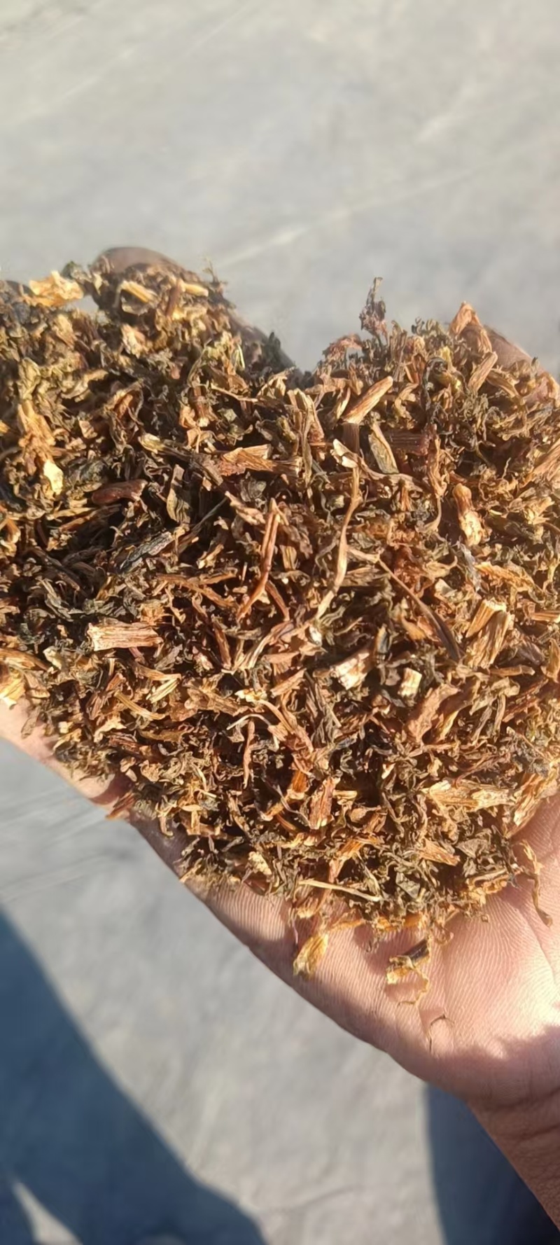 （梅干菜）精品无沙基地直供山东梅干菜质量保证