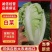 50白菜，一手货源，产地直销，新鲜采摘，量大质优