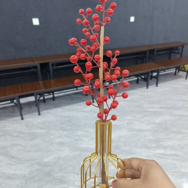 红果冬青发财果