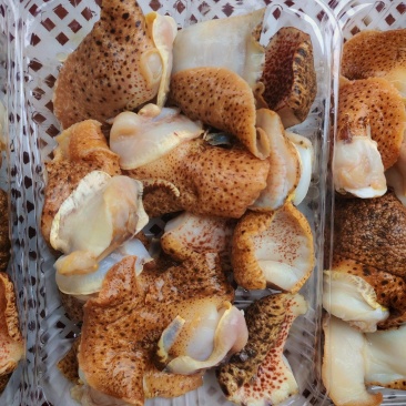 海螺肉是一种高蛋白、高营养价值的海鲜食材，因其独特的风