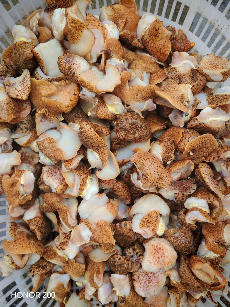 海螺肉是一种高蛋白、高营养价值的海鲜食材，因其独特的风