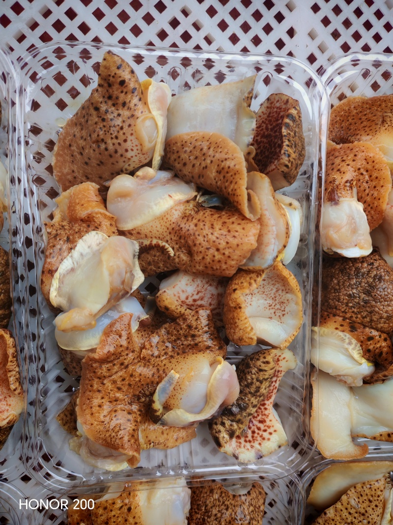 海螺肉是一种高蛋白、高营养价值的海鲜食材，因其独特的风