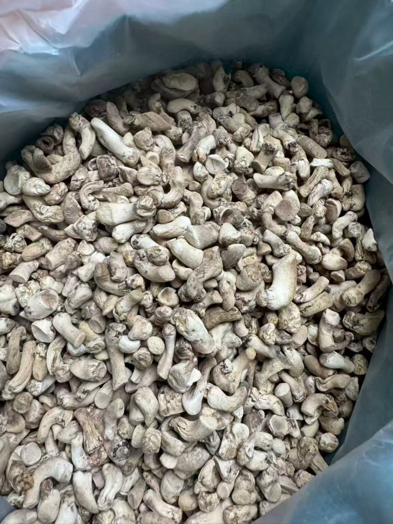 单剪香菇脚干货无泥沙抛光香菇脚，打磨香菇脚批发