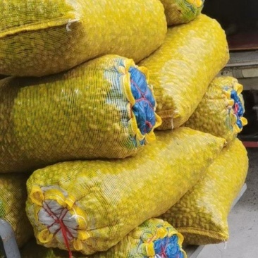 花生供应农户自己家的
