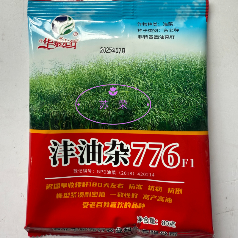 沣油杂776三系杂交油菜种子矮杆抗病强大田秋播精选油菜种