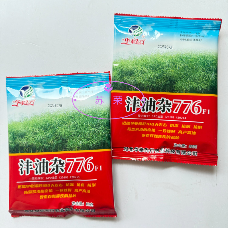 沣油杂776三系杂交油菜种子矮杆抗病强大田秋播精选油菜种