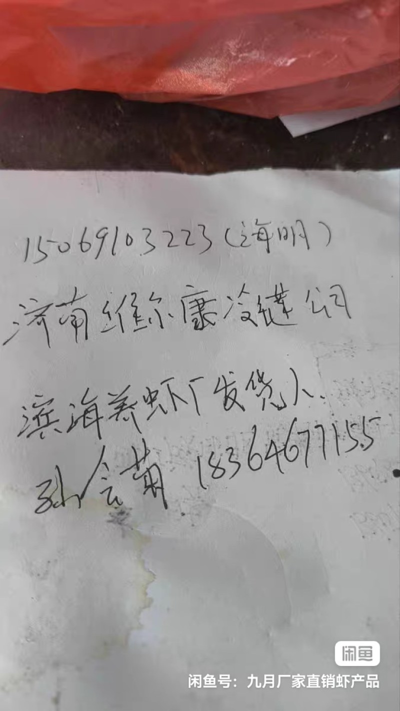 山东潍坊养虾厂里批发无冰衣手扒速冻鲜虾仁，需要的给我留言