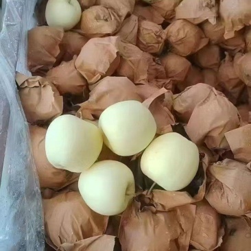 黃元帥