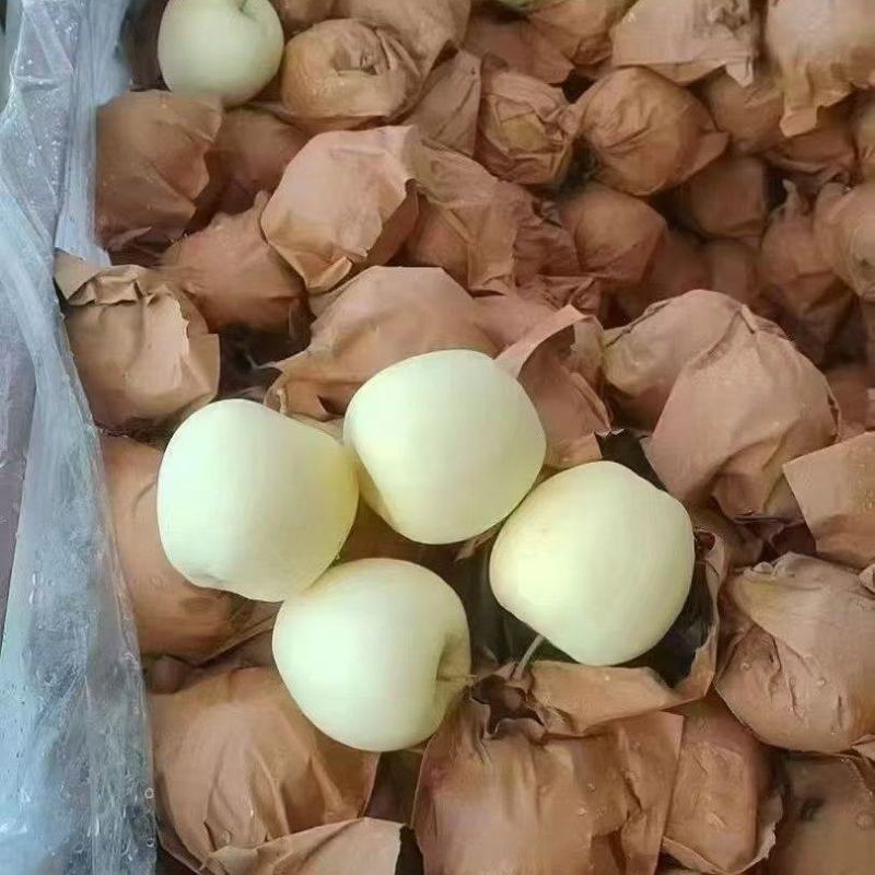 黃元帥