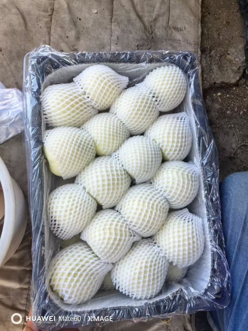 黃元帥