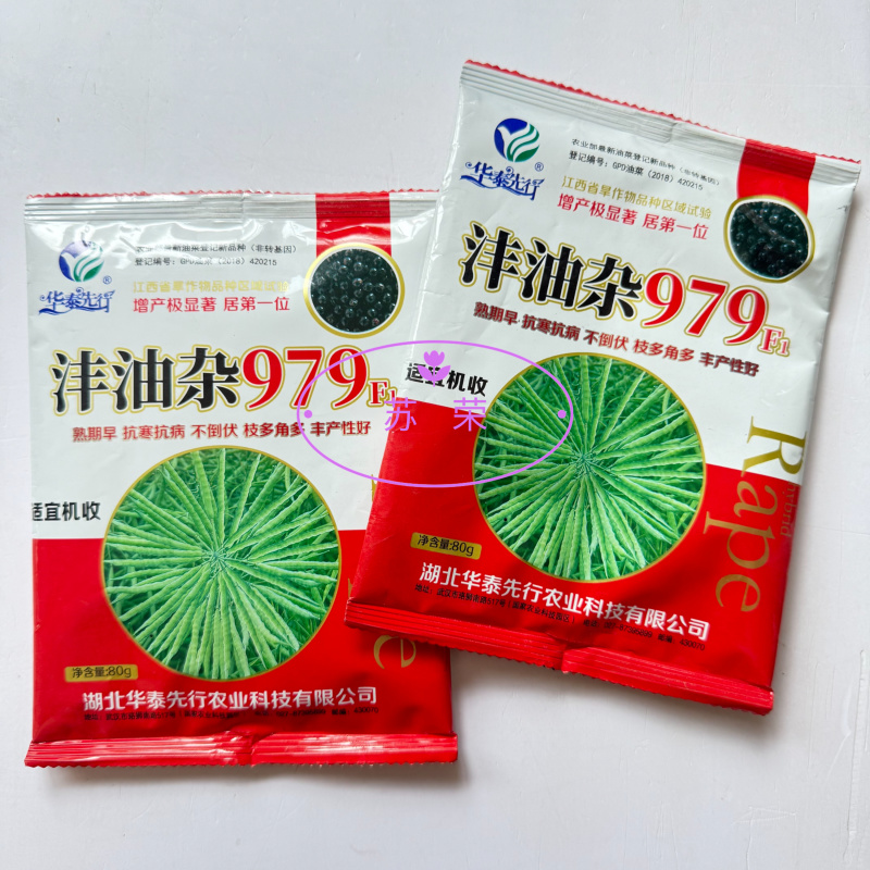 沣油杂979油菜种子高产抗病早熟抗倒油菜籽种农家四季田园