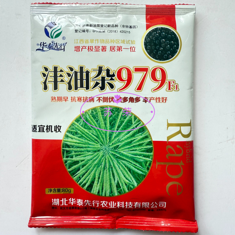 沣油杂979油菜种子高产抗病早熟抗倒油菜籽种农家四季田园