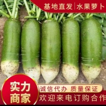 山东肥城里外青萝卜，水果萝卜，耐储存，口感甜脆，超市**