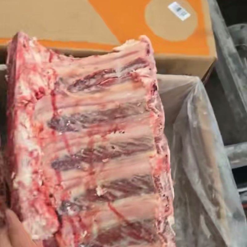 牛肋眼骨