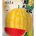 黄皮麒麟西瓜种子夏之悦，耐裂果铁皮麒麟西瓜