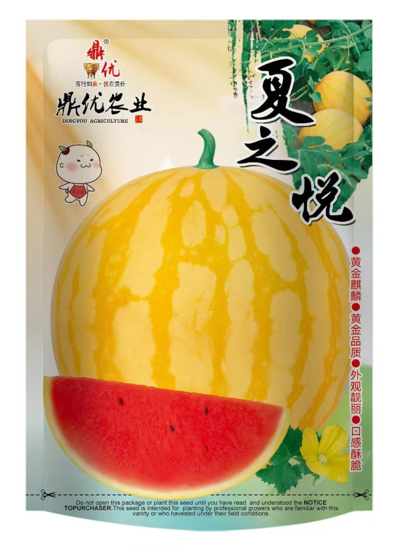 黄皮麒麟西瓜种子夏之悦，耐裂果铁皮麒麟西瓜