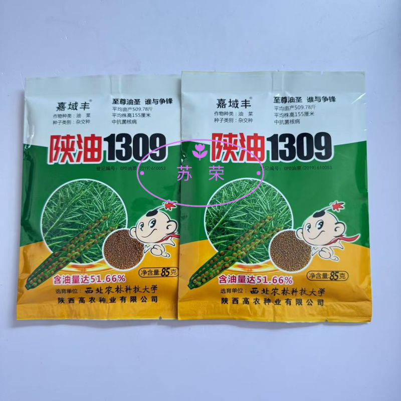 陕油1309油菜种子高产高油矮杆抗病抗倒伏机收秋季播种