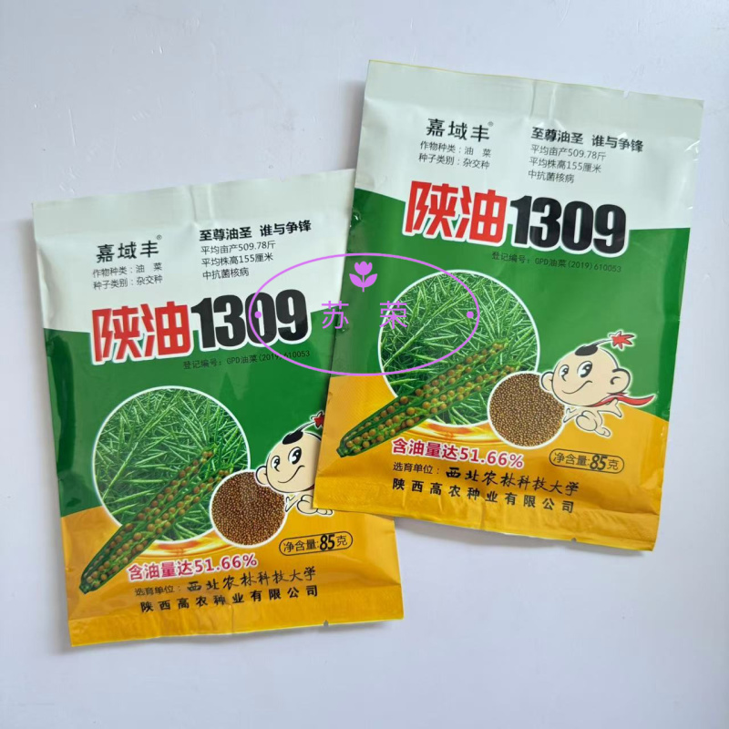 陕油1309油菜种子高产高油矮杆抗病抗倒伏机收秋季播种
