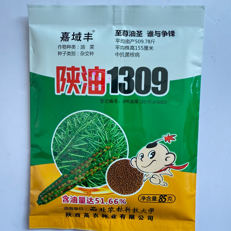 陕油1309油菜种子高产高油矮杆抗病抗倒伏机收秋季播种