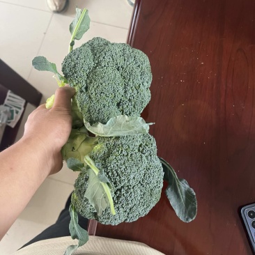 西蓝花