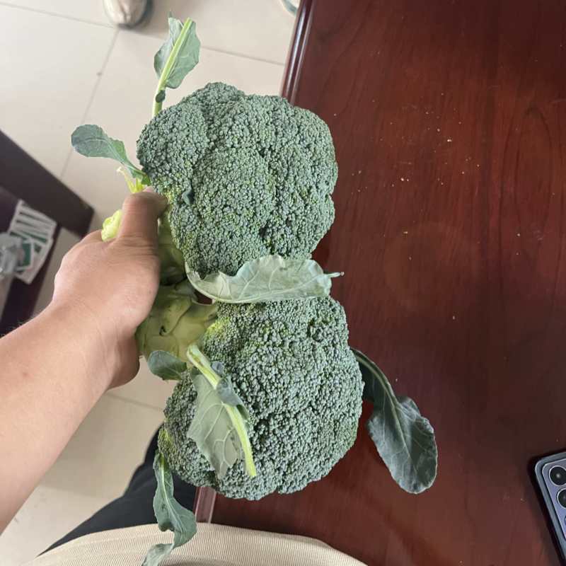 西蓝花