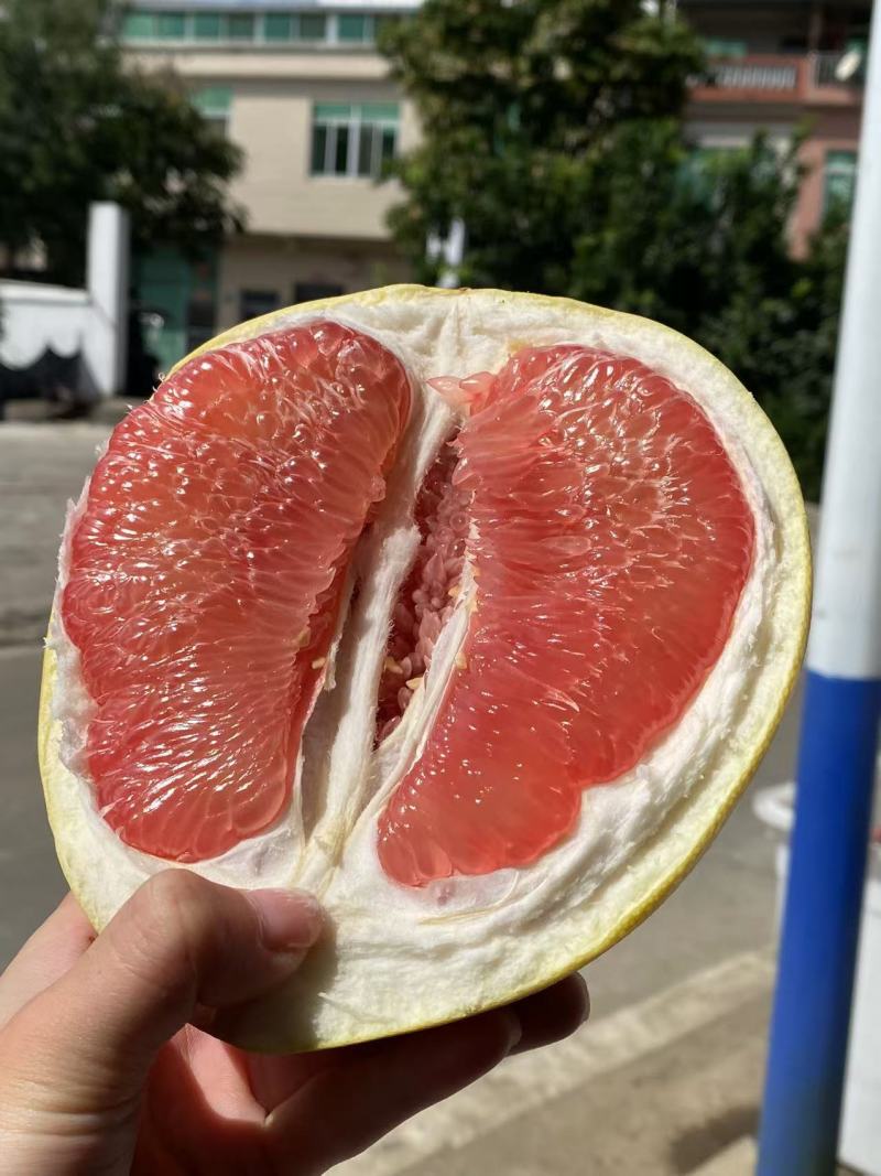 高品质红柚及三红柚