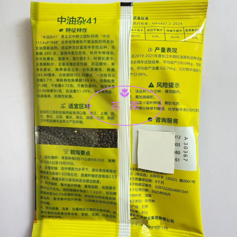 中油杂41杂交油菜种子高产抗病耐热耐寒春秋季播农家菜园