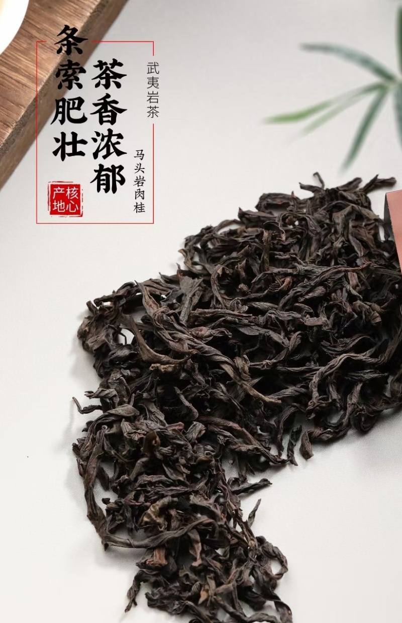 5档_1斤果香肉桂大红袍浓香型肉桂高山武夷岩茶送人礼盒装