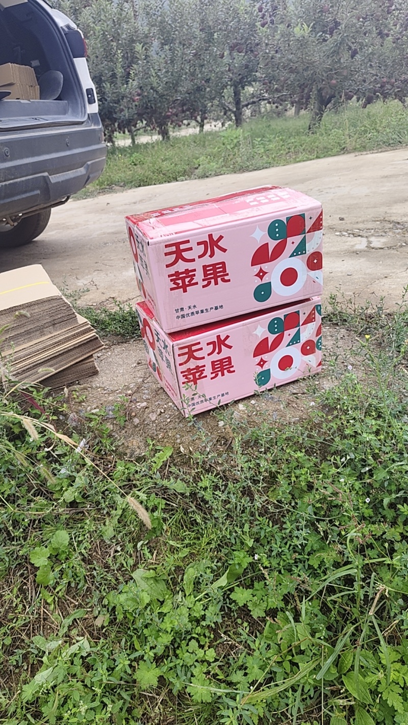 天水花牛苹果