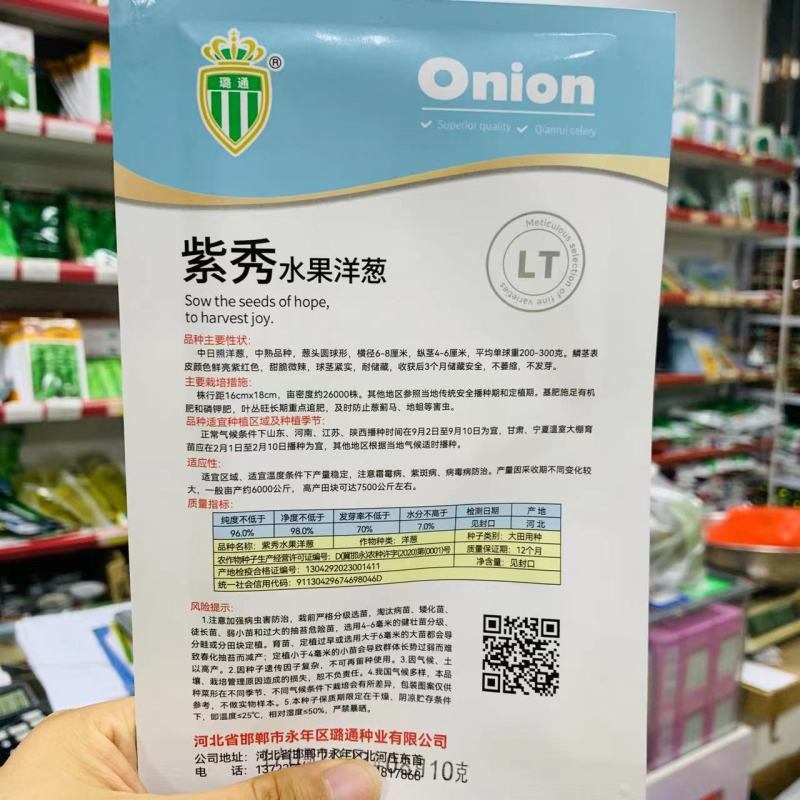 白色水果洋葱种子璐玉珍珠白洋葱种籽白皮洋葱种甘甜微辣葱籽