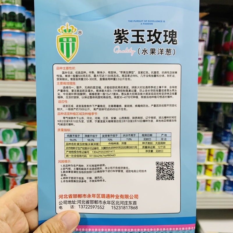 白色水果洋葱种子璐玉珍珠白洋葱种籽白皮洋葱种甘甜微辣葱籽