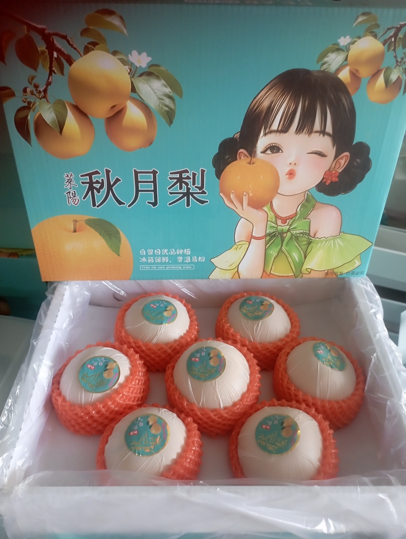 山东莱阳秋月梨脆甜抖音快团团购电商微商直播整车一件代发