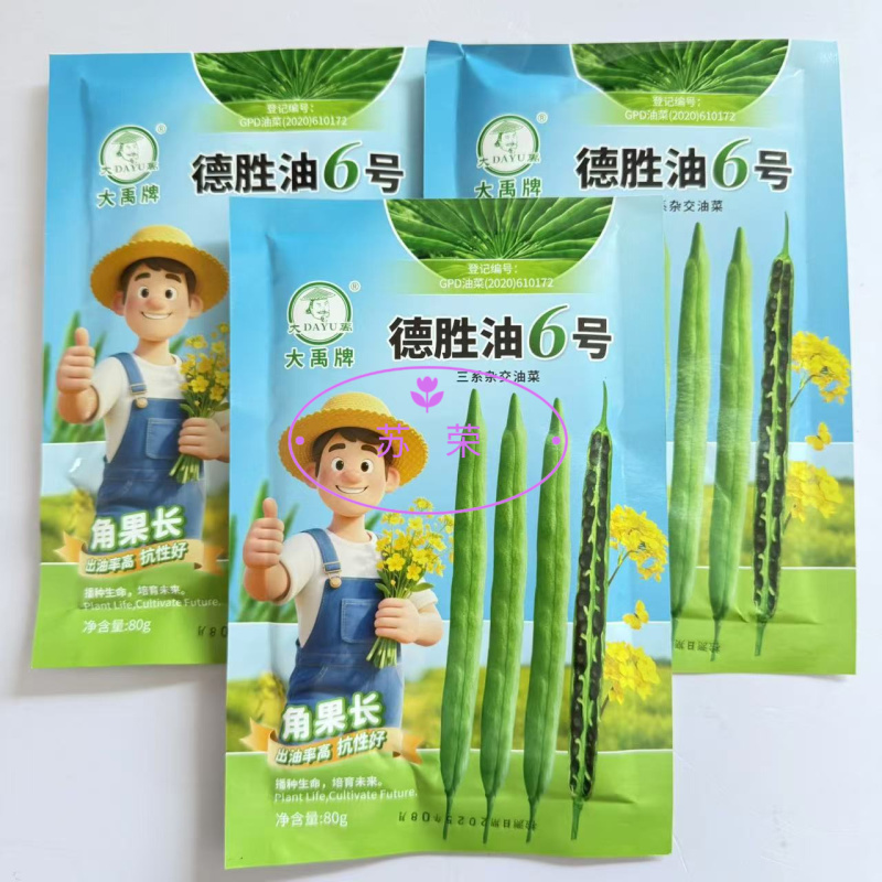 德胜油6号油菜种子三系杂交甘蓝型高产高油油菜种籽