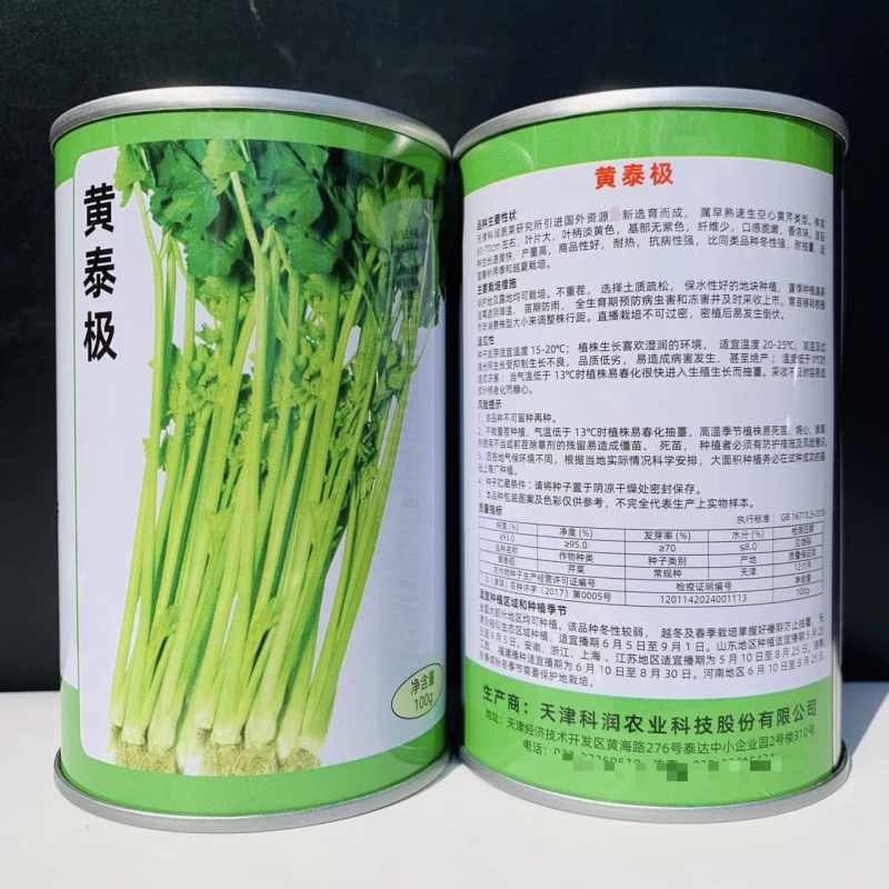 天津科润黄泰极空心芹菜种子早熟空心黄芹种子速生耐热抗病