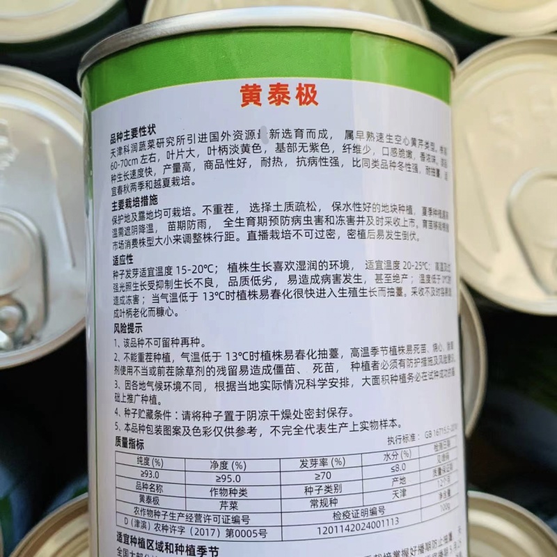 天津科润黄泰极空心芹菜种子早熟空心黄芹种子速生耐热抗病