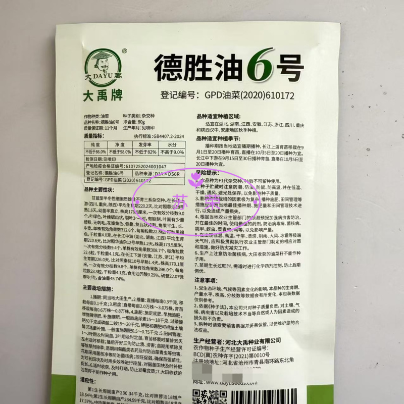 德胜油6号油菜种子三系杂交甘蓝型高产高油油菜种籽