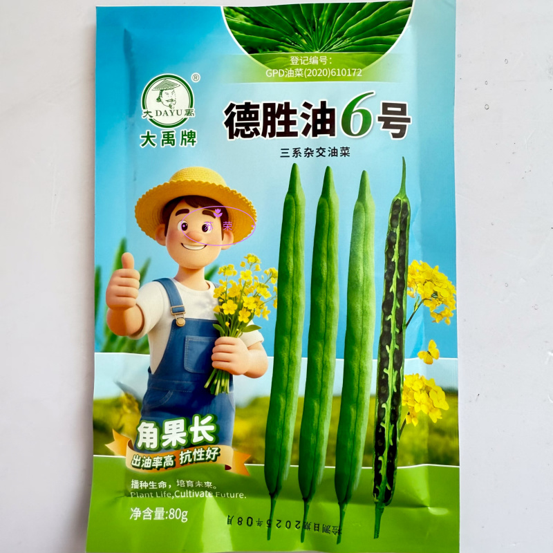 德胜油6号油菜种子三系杂交甘蓝型高产高油油菜种籽