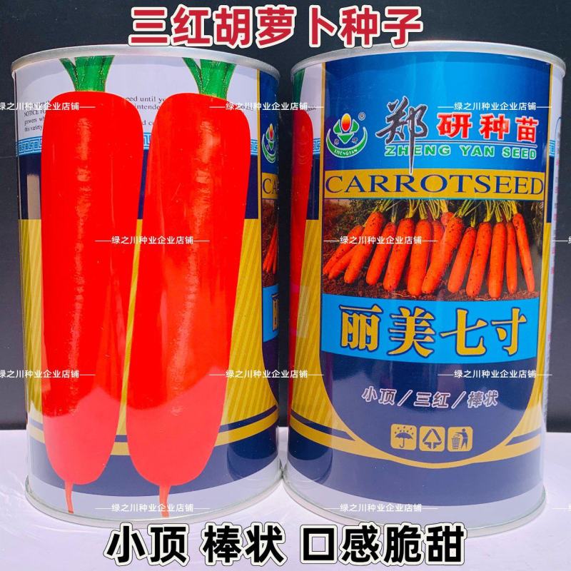 郑研丽美七寸参胡萝卜种子小顶三红胡萝卜种籽脆甜胡萝卜种籽