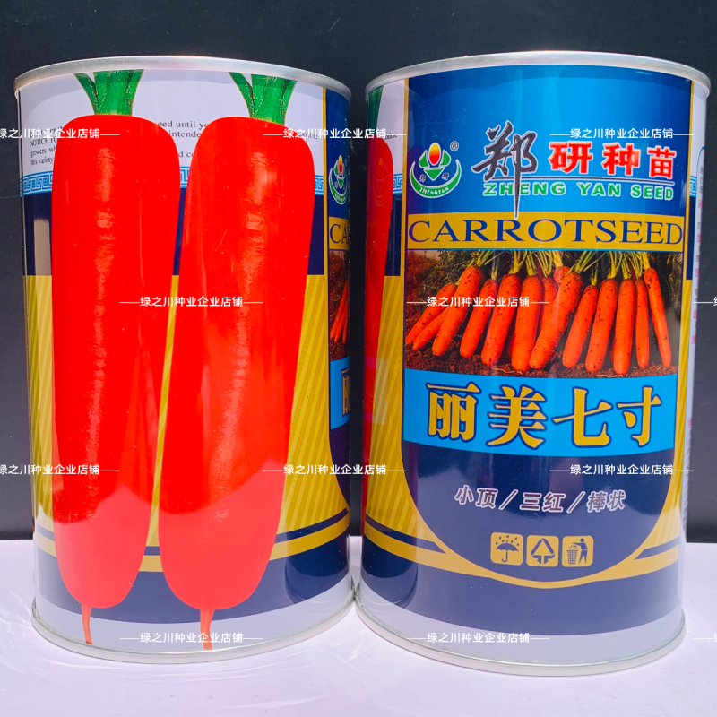 郑研丽美七寸参胡萝卜种子小顶三红胡萝卜种籽脆甜胡萝卜种籽