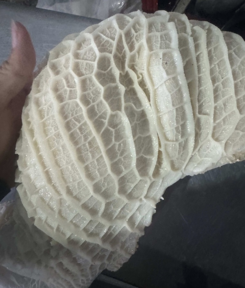 【半成品金钱肚】批发50斤三分熟半成品牛肚金钱肚