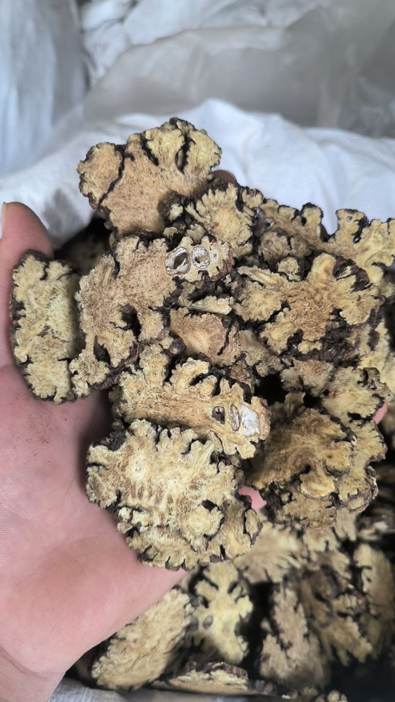 【川芎片】无硫川芎片各种规格中药材批发物美价廉