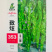 致炫353螺丝椒种子籽薄皮大果抗病螺旋辣椒高产长果香辣脆