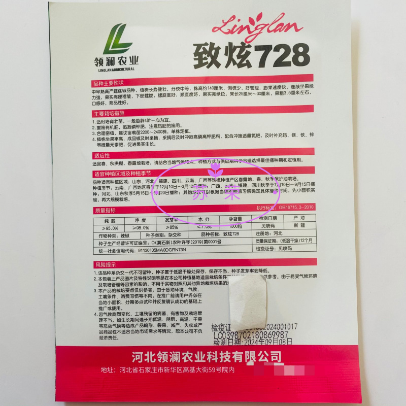致炫728螺丝椒种子中早熟高产螺丝椒顺直螺旋度好果实亮绿