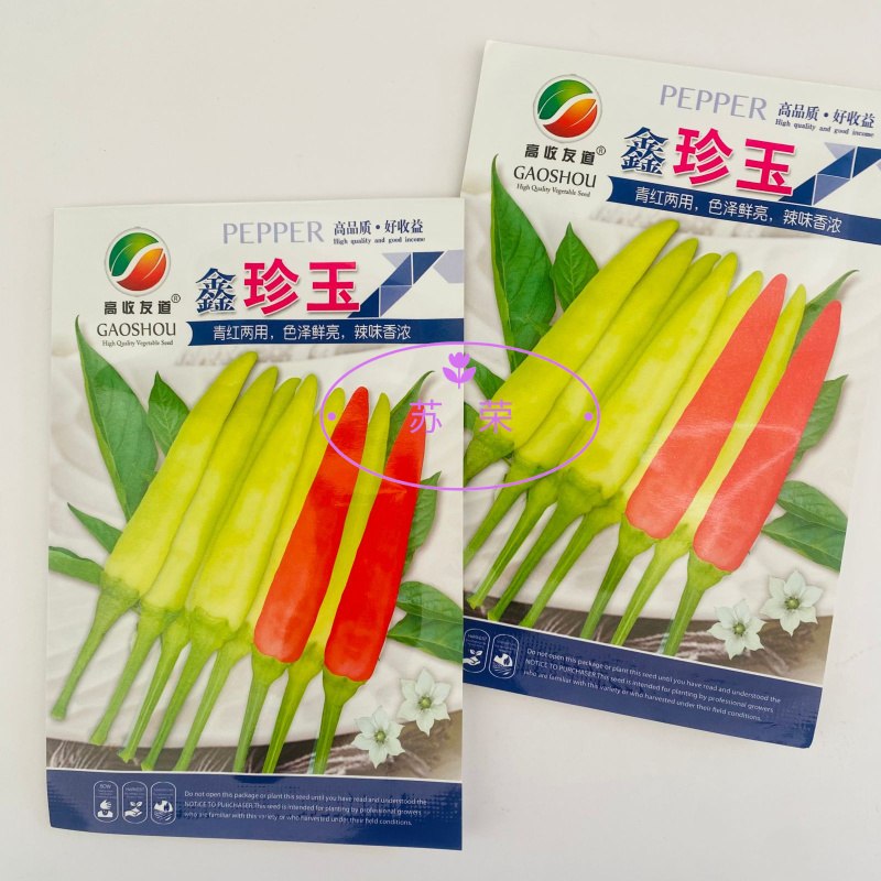 鑫珍玉早熟单生黄皮朝天椒种子光亮顺直味香辣黄红果两用黄朝
