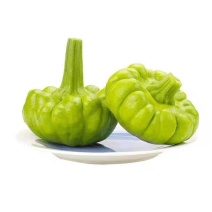 云南精品姜饼瓜基地直发一件代发。