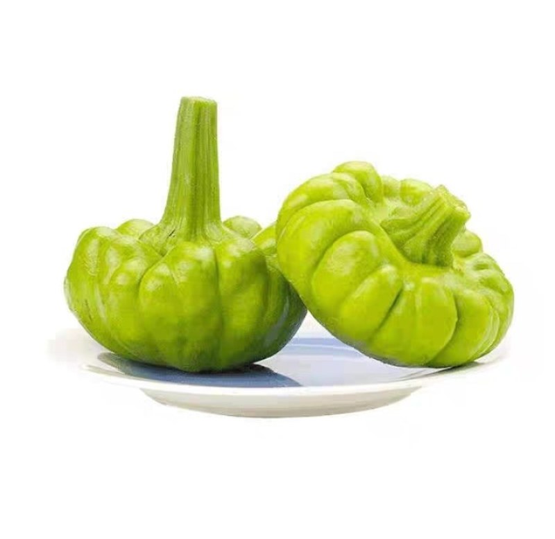 云南精品姜饼瓜基地直发一件代发。