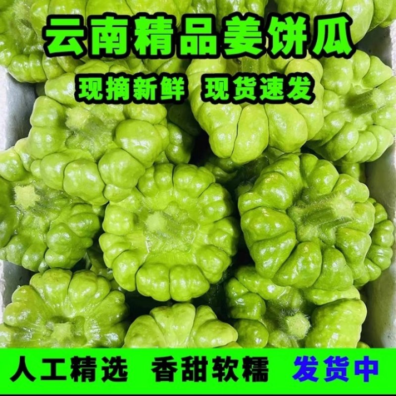 云南精品姜饼瓜基地直发一件代发。