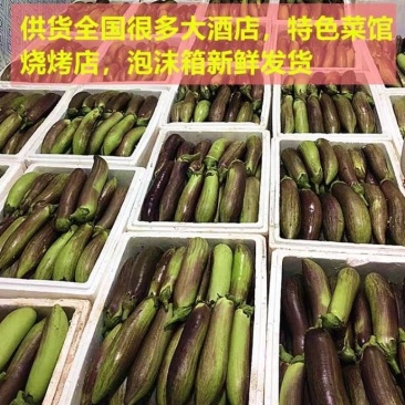 云南精品冰川茄子基地直发一件代发。