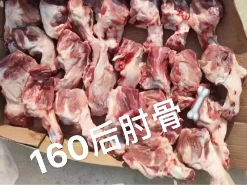 猪后肘骨160后肘骨山东腾惠将成为更多客户的选择