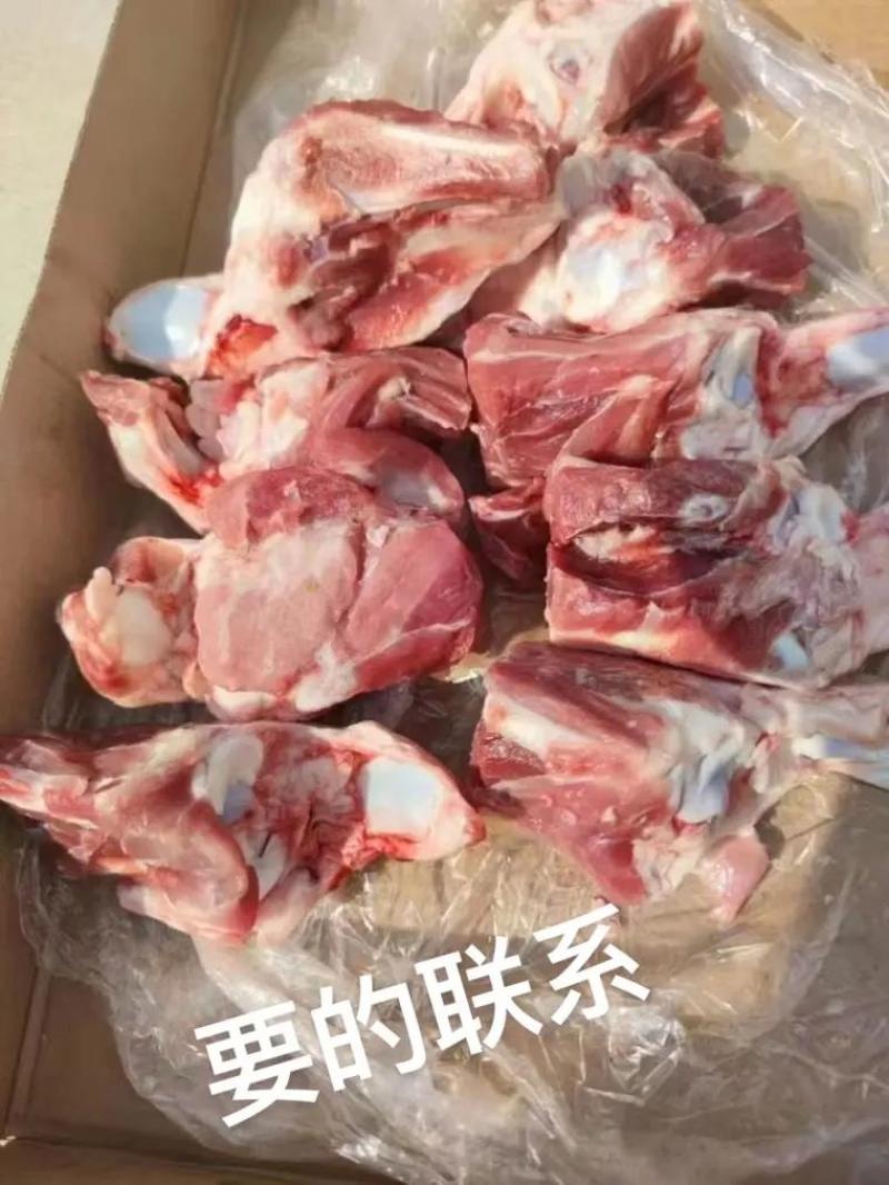 猪后肘骨160后肘骨山东腾惠将成为更多客户的选择